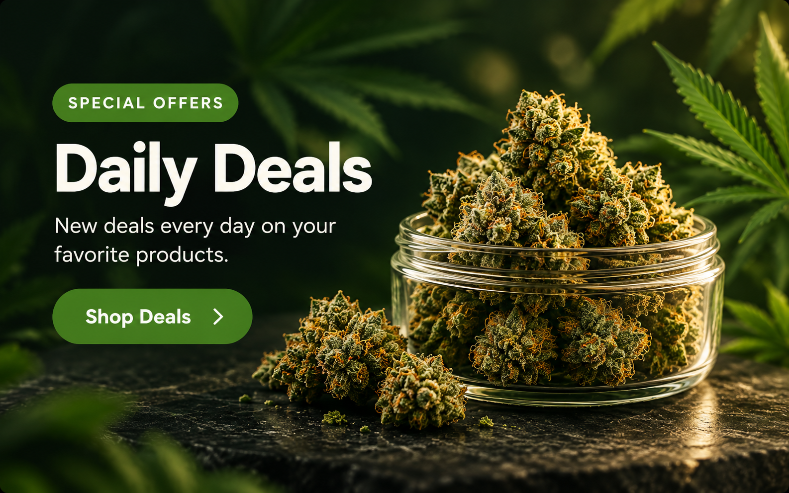 Daily Deals