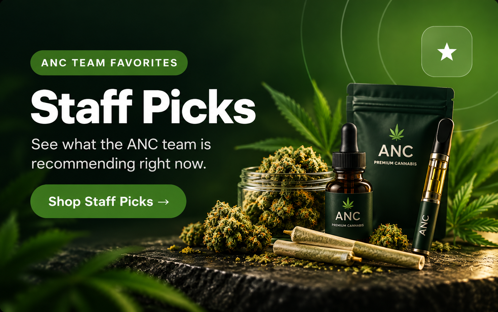 ANC Staff Picks