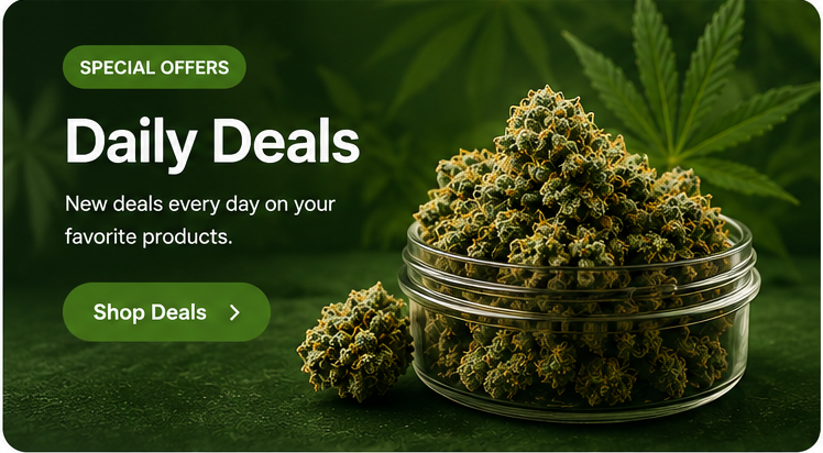 Daily Deals