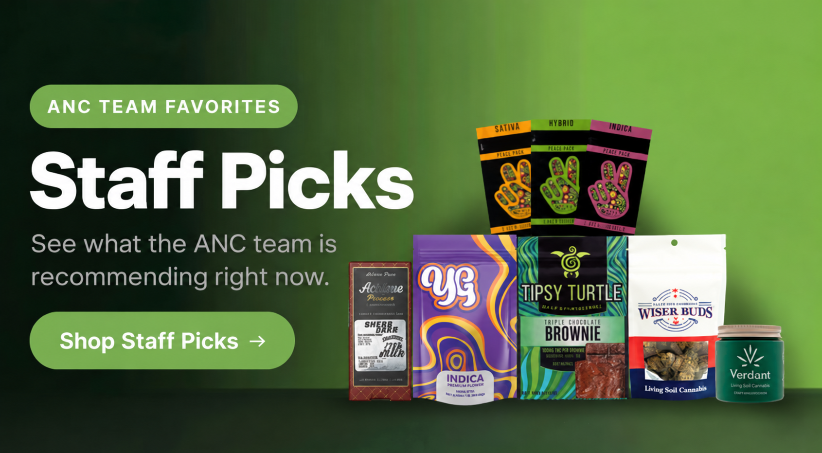 ANC Staff Picks